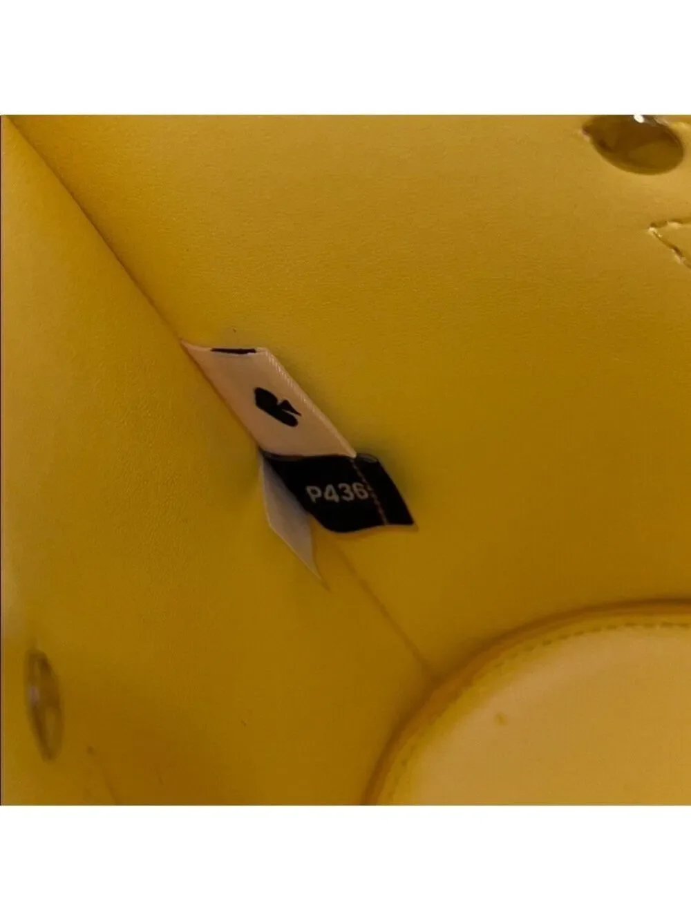 Kate Spade Flock Party Parrot Crossbody & Matching Keychain NWT